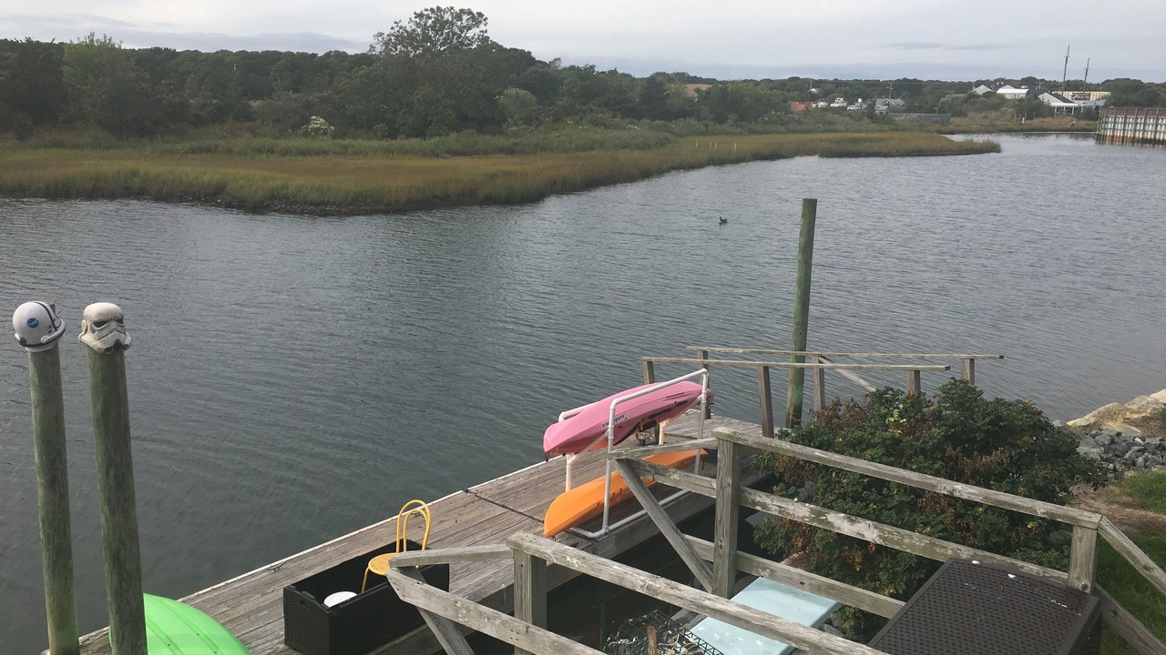 Photo of Outdoor in South Yarmouth