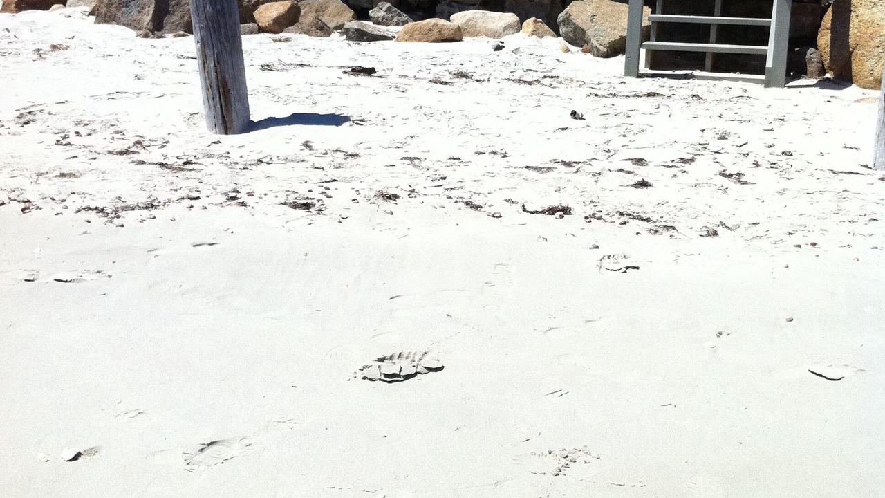 Photo of Others in South Yarmouth
