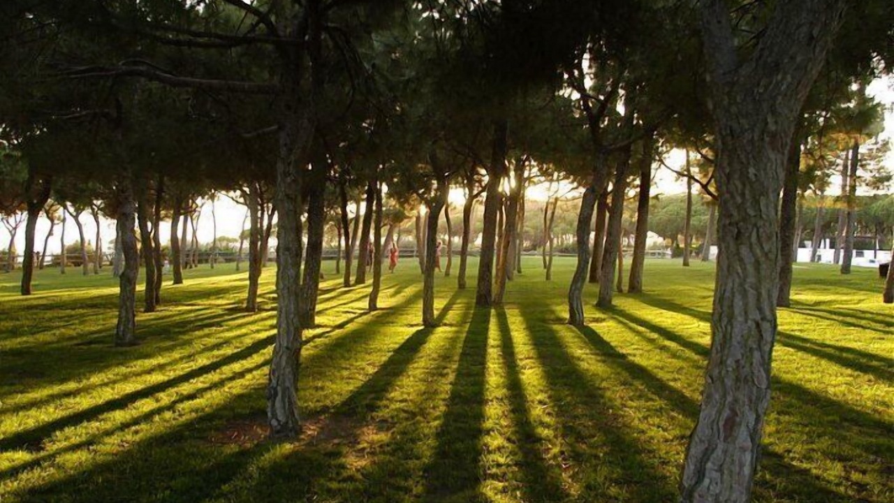 Photo of Outdoor in Olhos D'Agua
