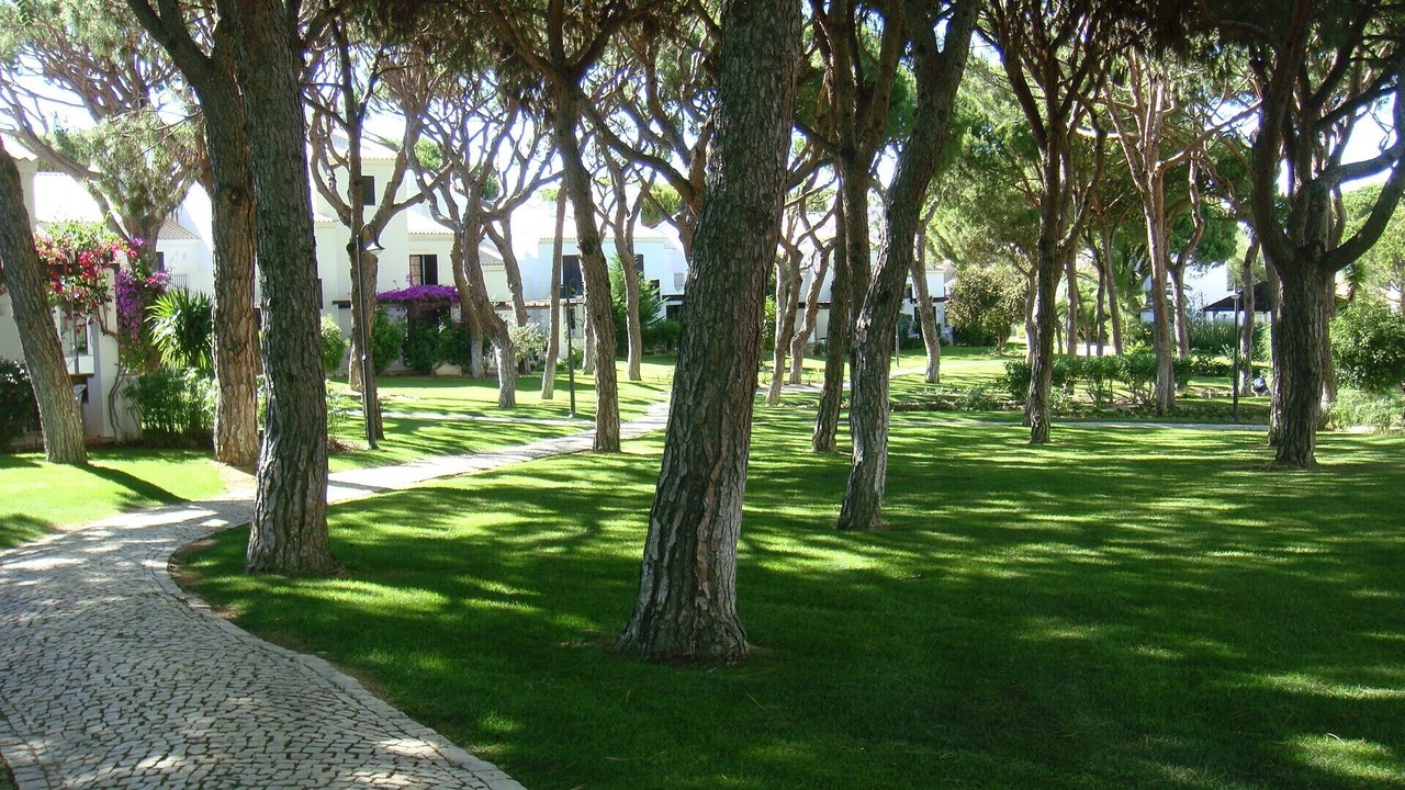 Photo of Outdoor in Olhos D'Agua