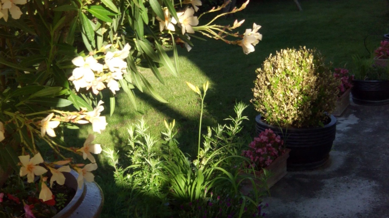 Photo of Outdoor in Cabrieres-d'Avignon