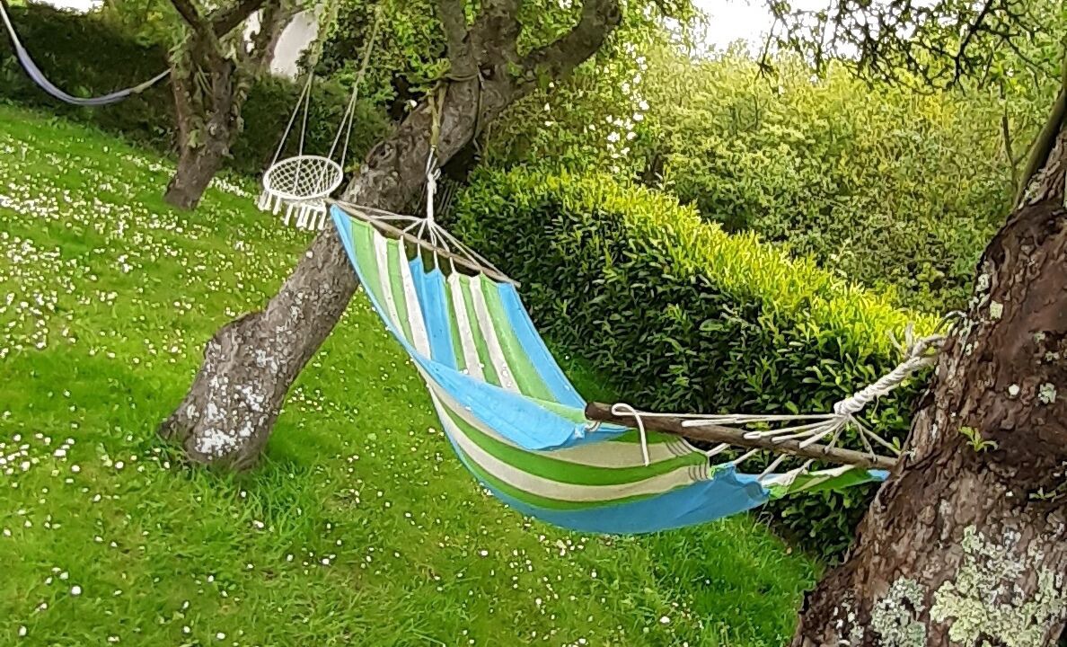 Photo of Outdoor in Plevenon
