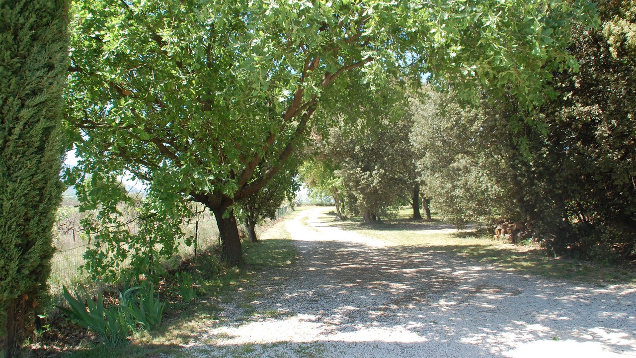 Photo of Outdoor in Gordes