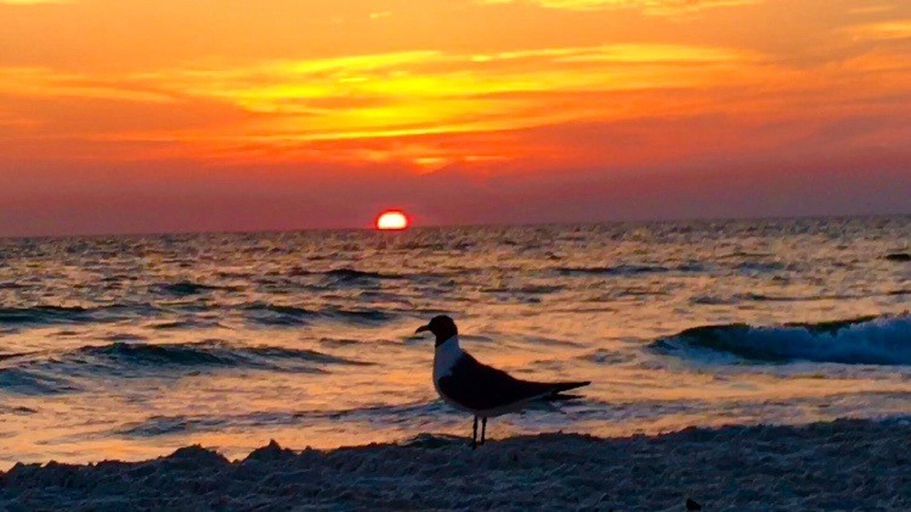 Photo of Others in Cape Breezes