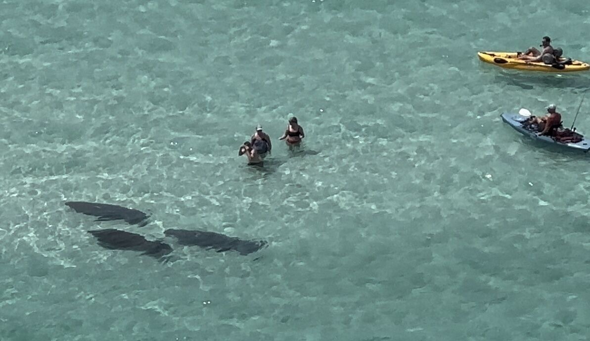 Photo of Others in Miramar Beach