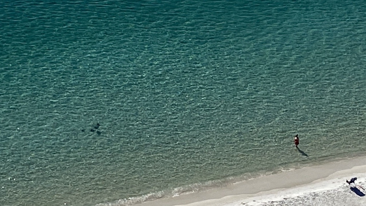 Photo of Others in Miramar Beach