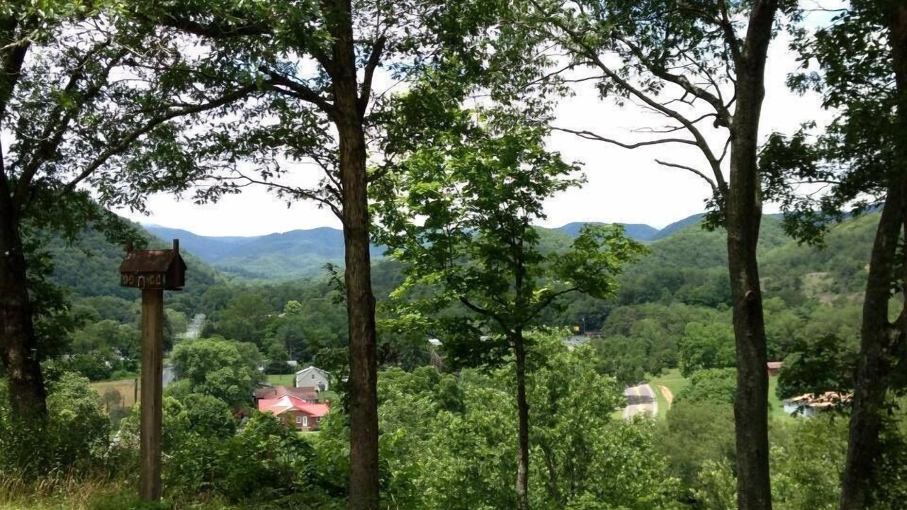 Photo of Others in Covington