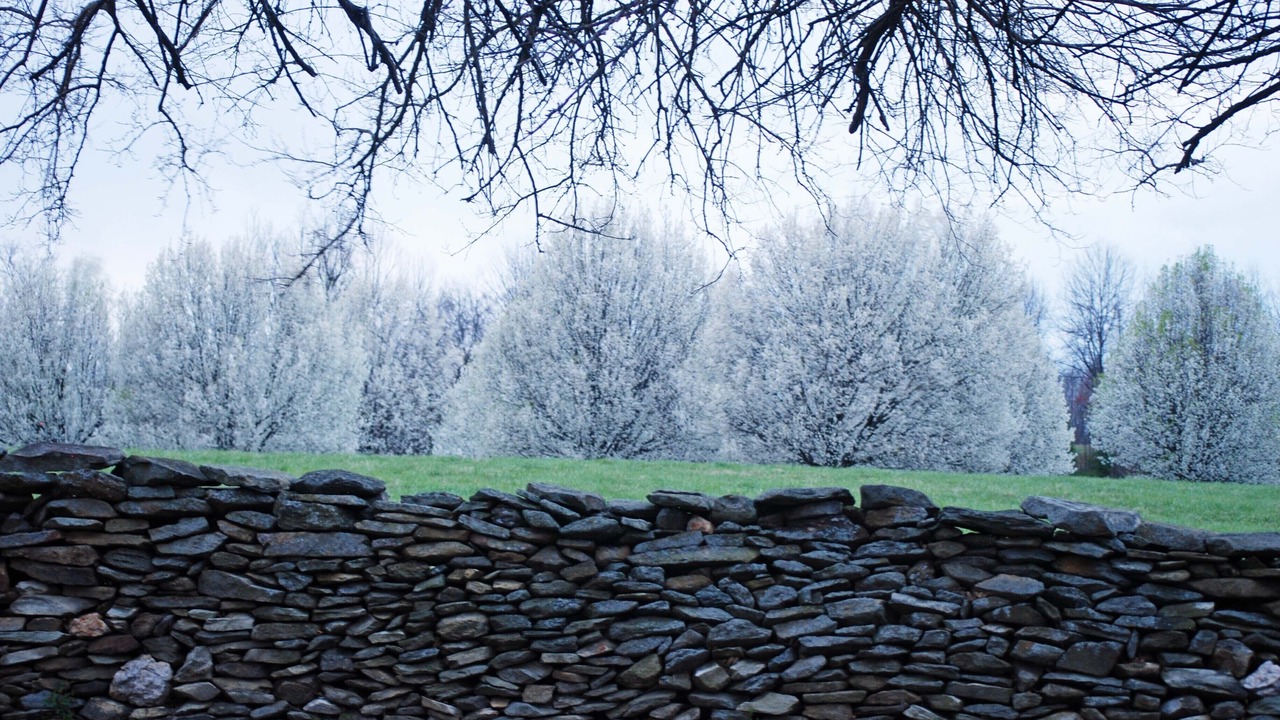 Photo of Outdoor in Philomont