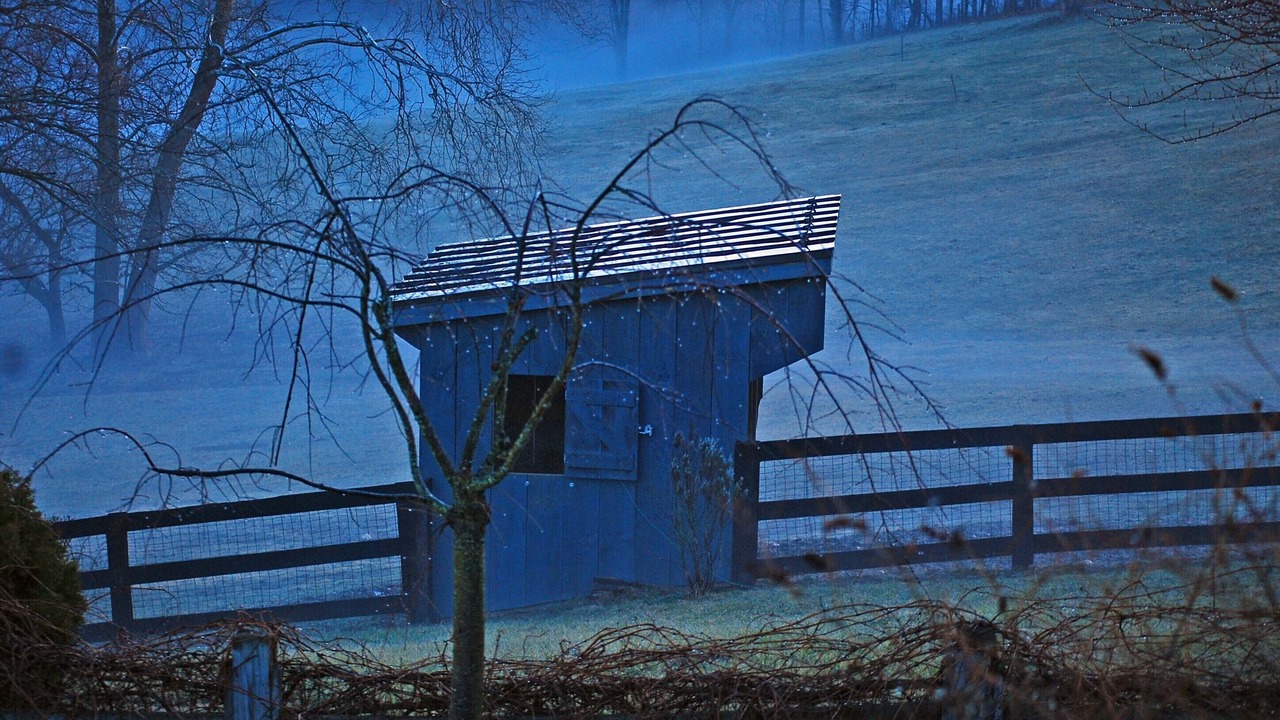 Photo of Outdoor in Philomont