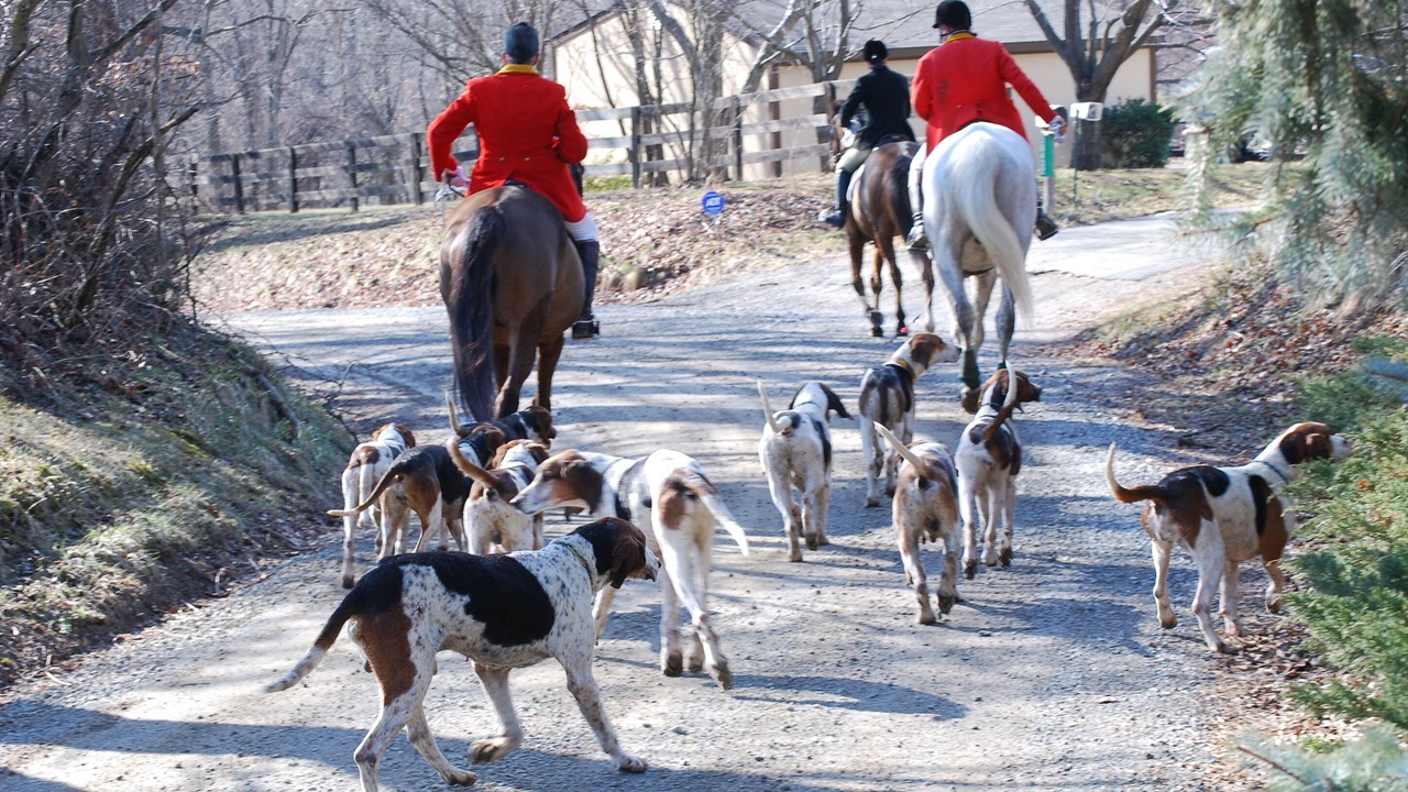 Photo of Others in Philomont