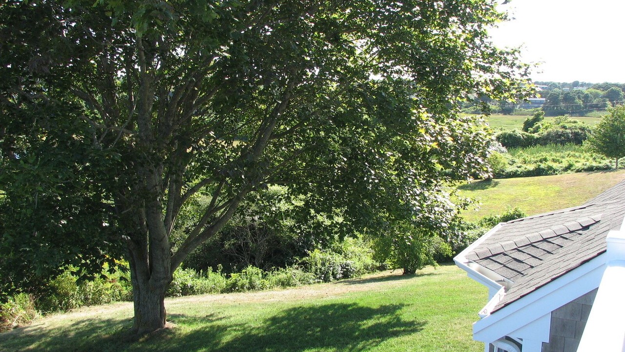 Photo of Outdoor in West Chatham