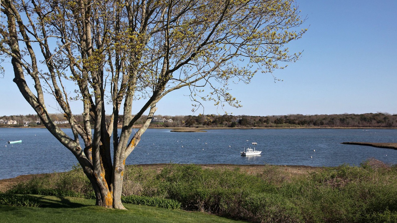 Photo of Outdoor in West Chatham