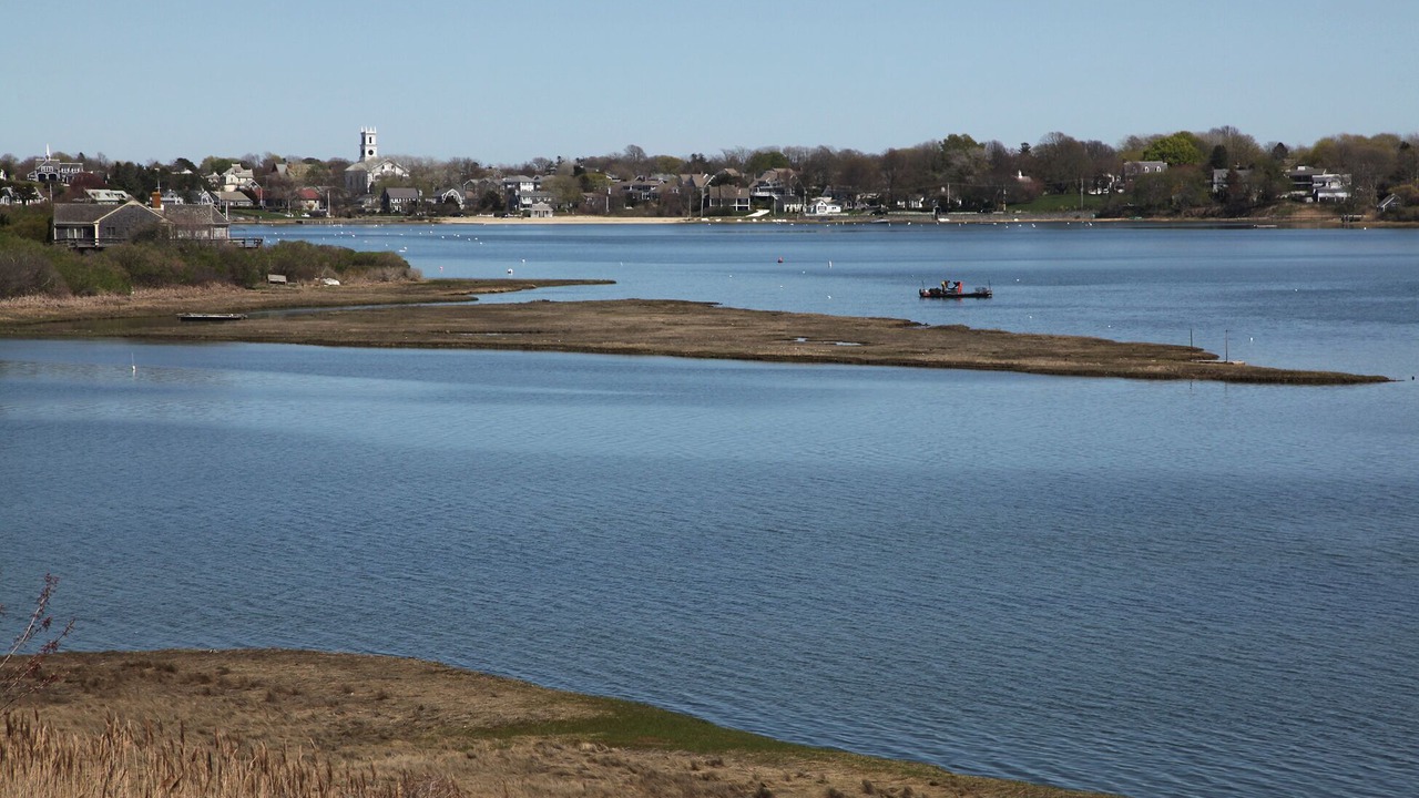 Photo of Others in West Chatham