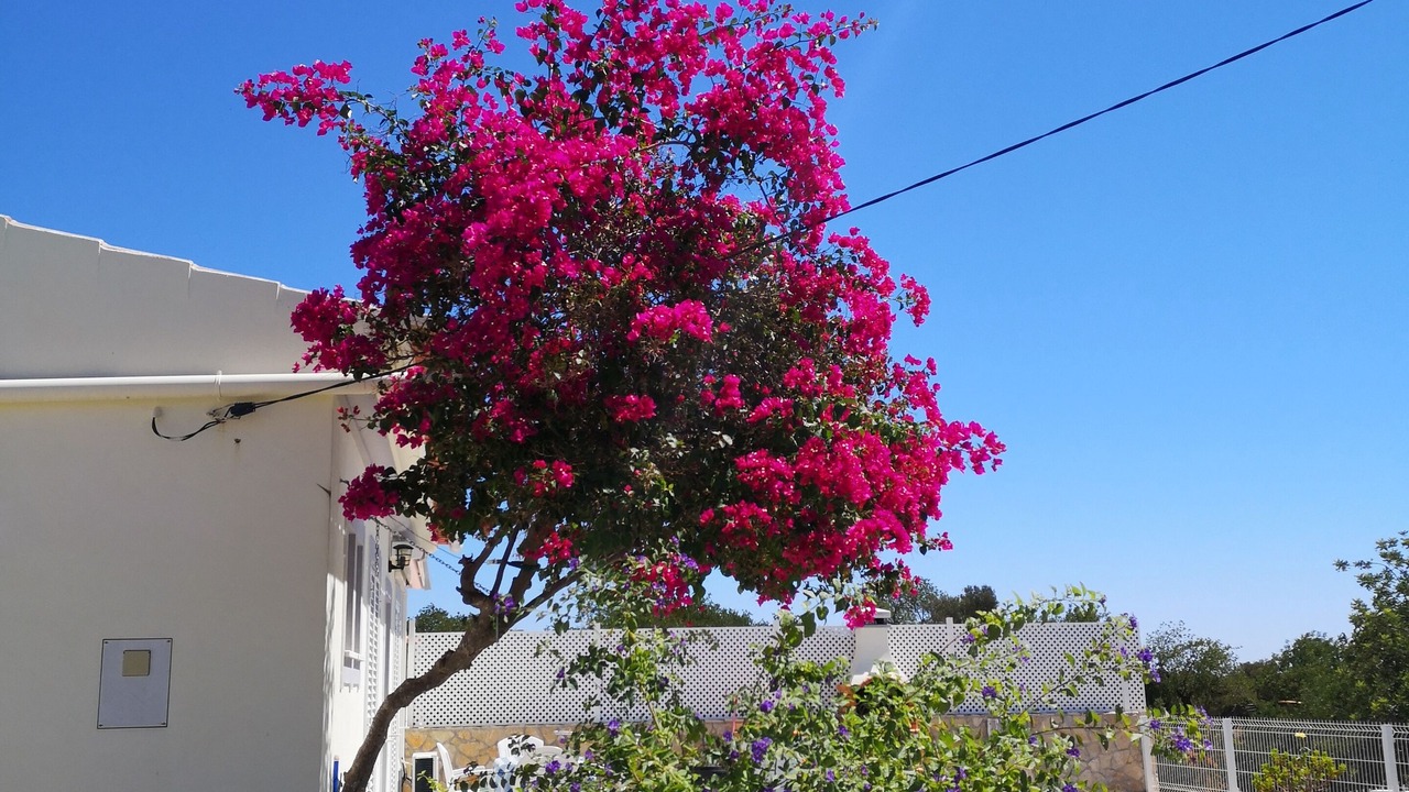 Photo of Outdoor in Falfosa