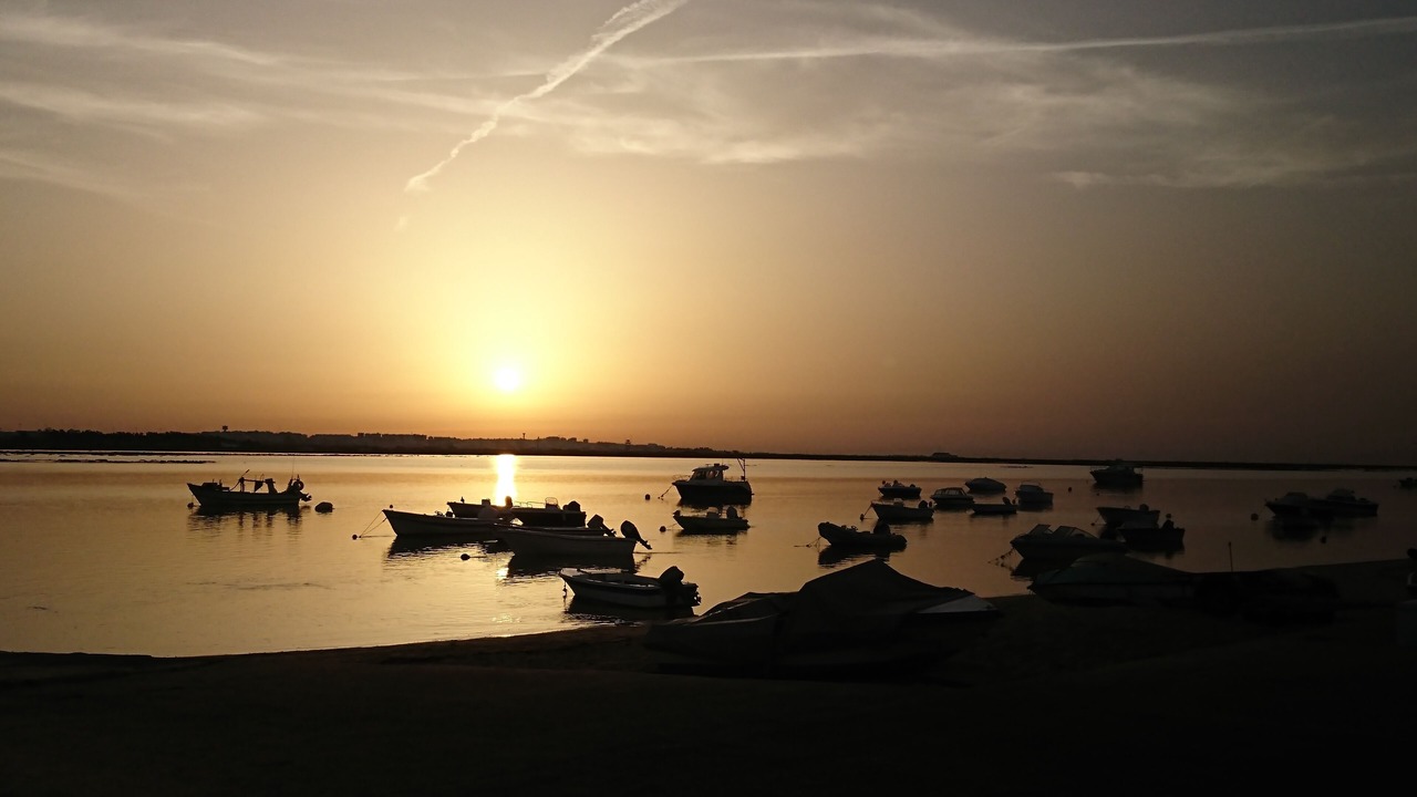 Photo of Others in Falfosa