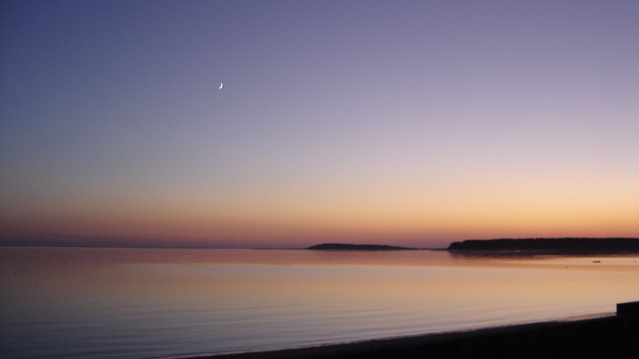 Photo of Others in Wellfleet