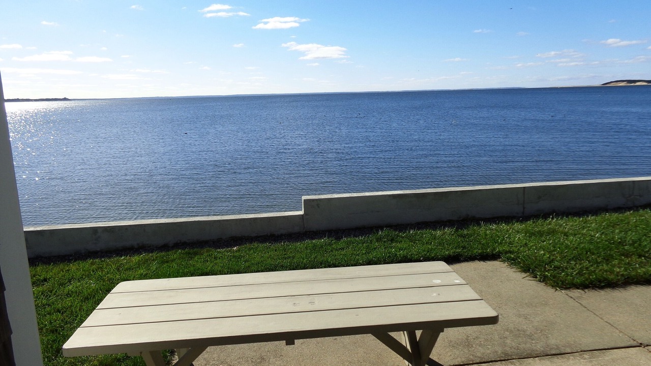 Photo of Others in Wellfleet