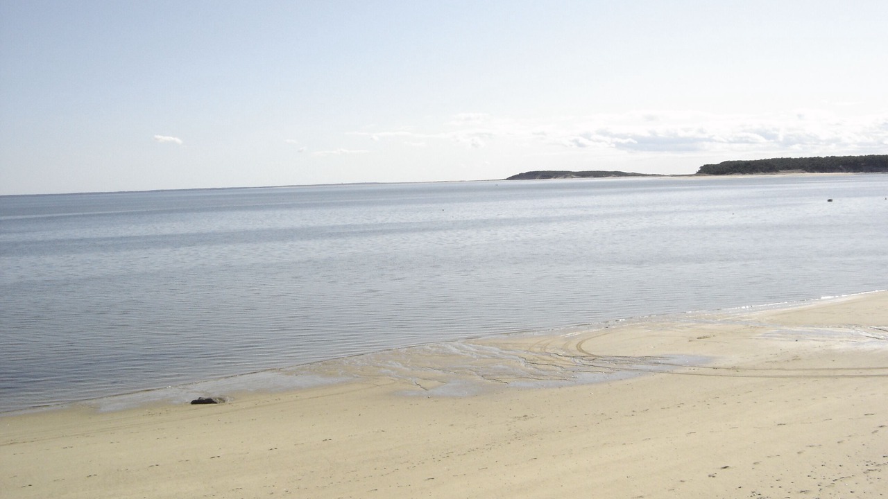 Photo of Others in Wellfleet