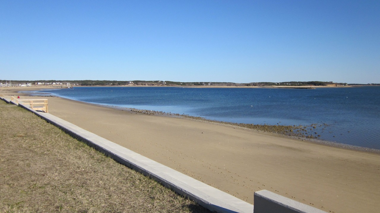 Photo of Others in Wellfleet