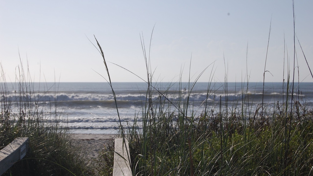 Photo of Others in Avon By The Sea