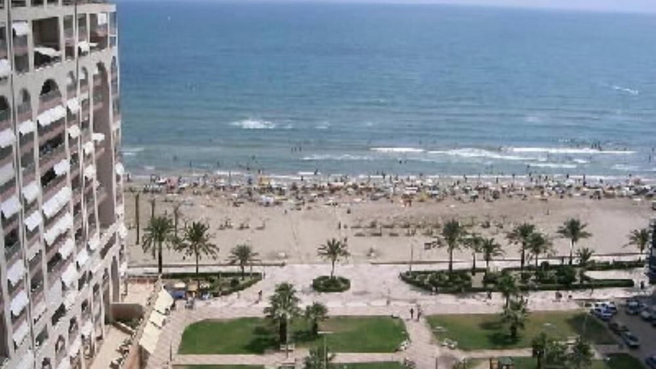 Photo of Others in Cullera