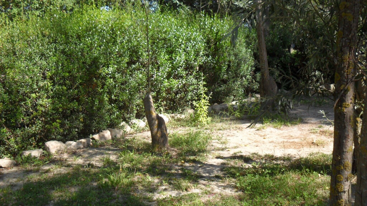 Photo of Outdoor in Saliers