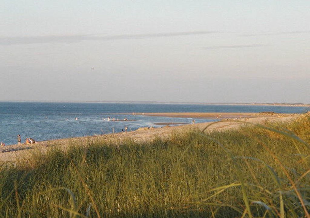 Photo of Others in East Sandwich