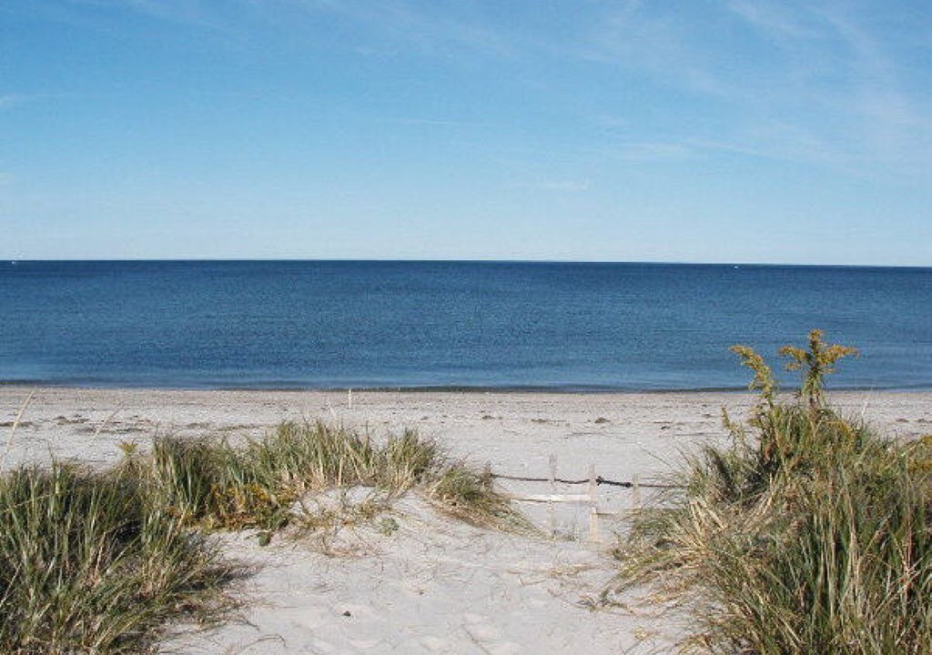 Photo of Others in East Sandwich