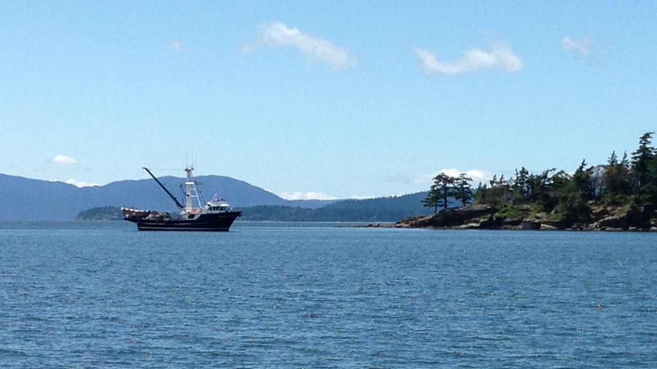 Photo of Others in Bellingham