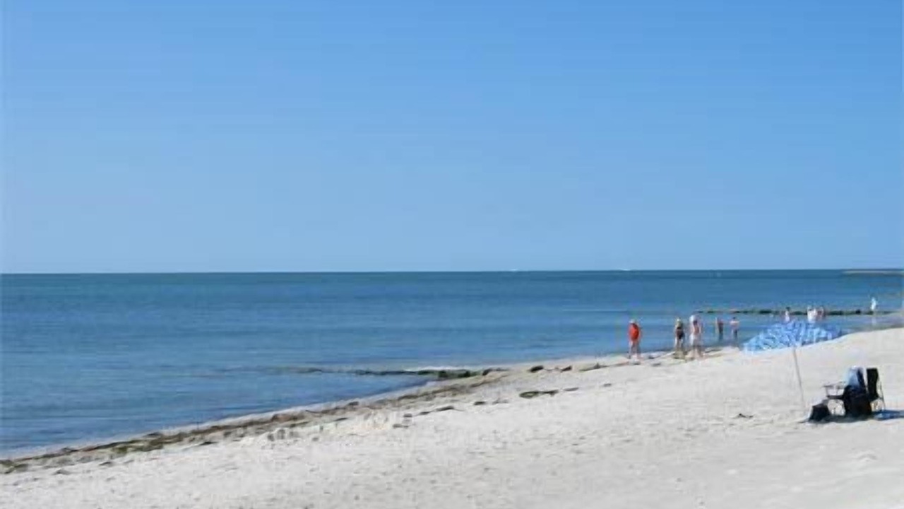 Photo of Others in South Yarmouth