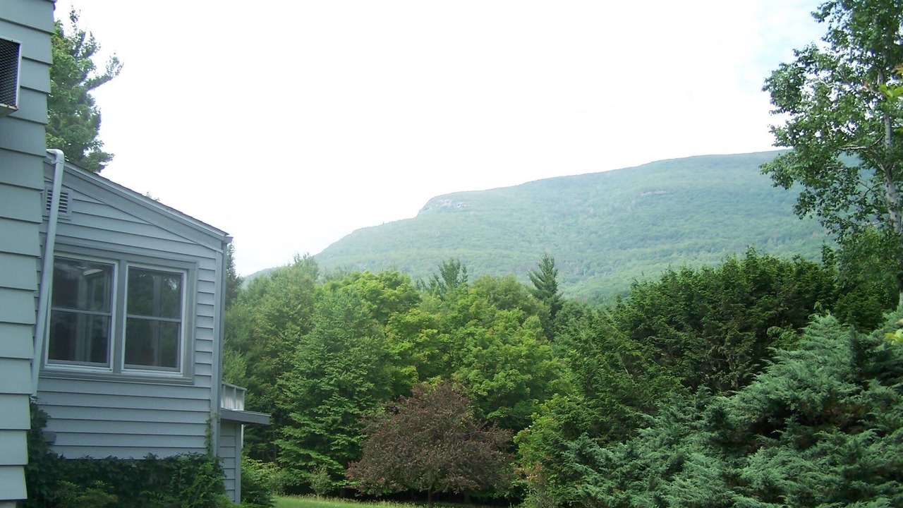 Photo of Others in Saugerties