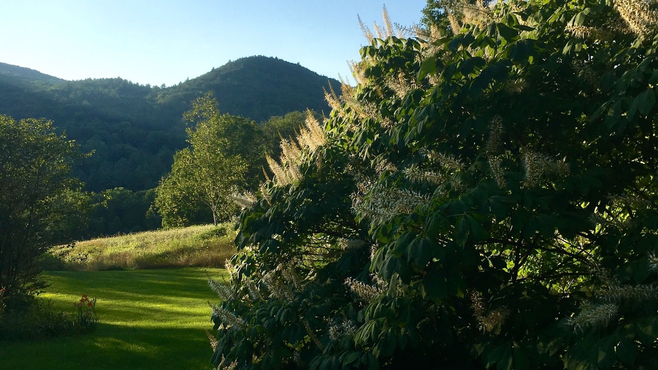 Photo of Others in Shattuckville