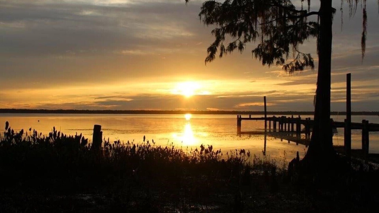 Photo of Others in Palatka