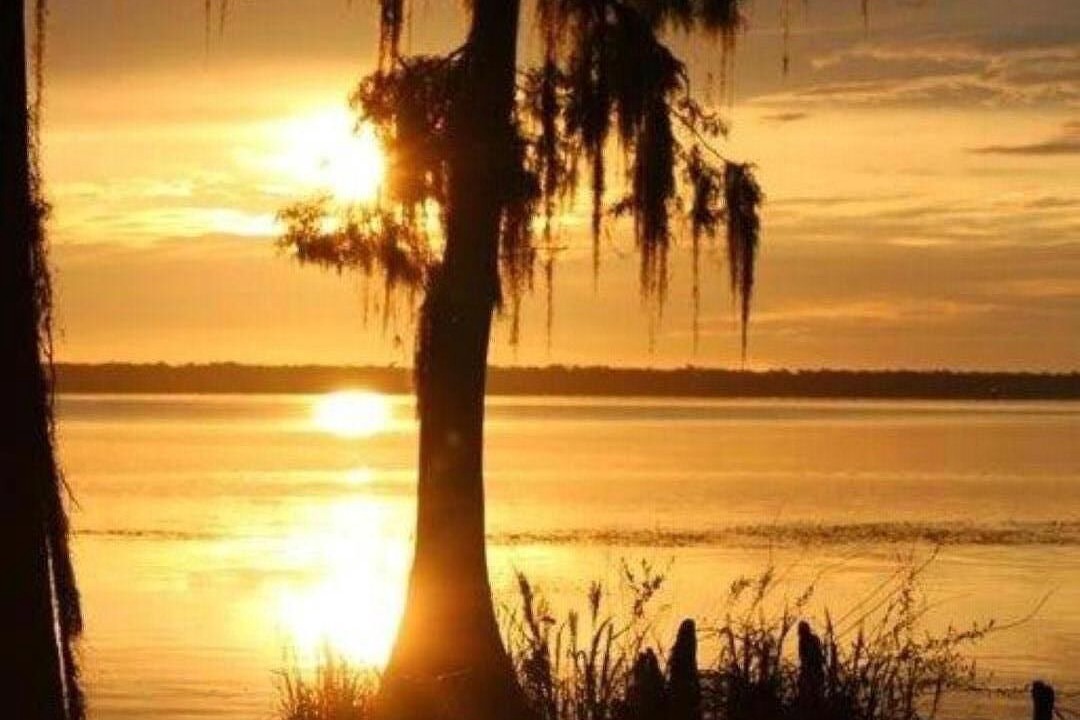 Photo of Others in Palatka