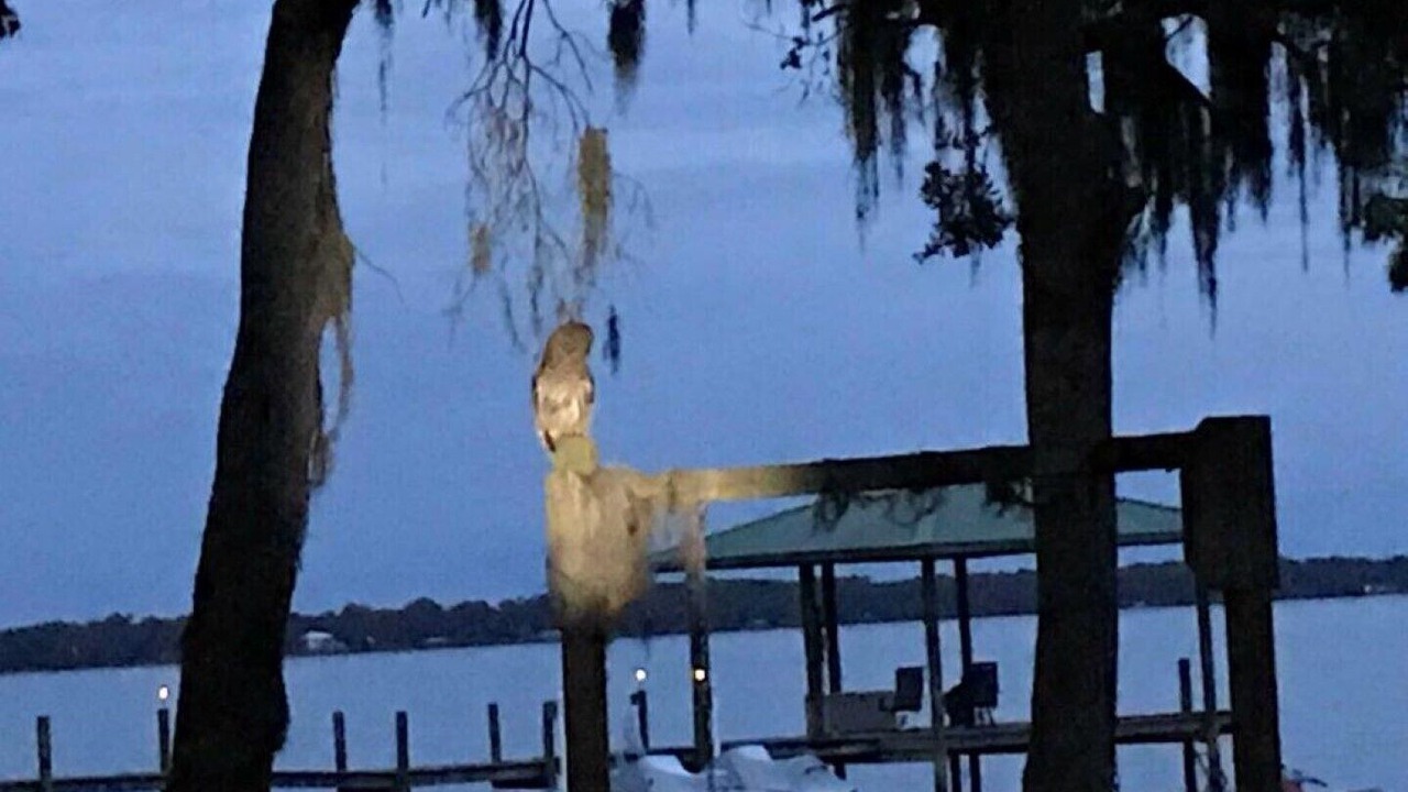 Photo of Others in Palatka