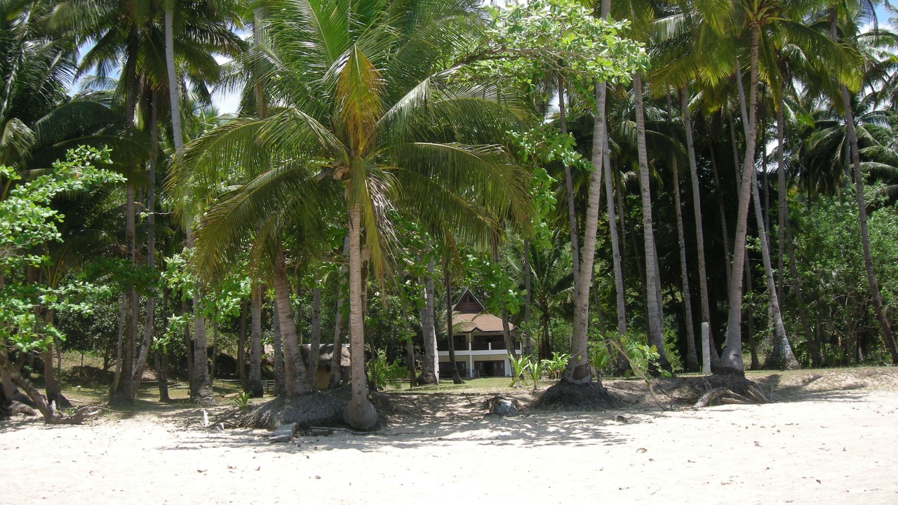 Photo of Others in Puerto Princesa