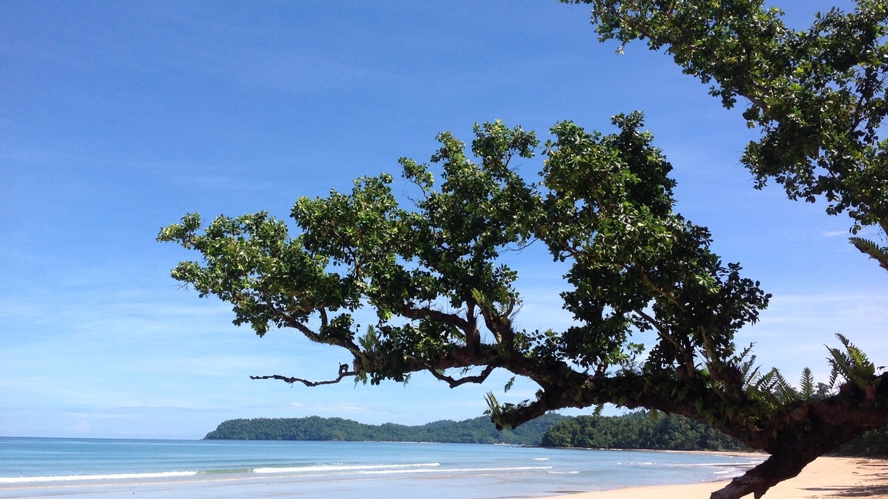 Photo of Others in Puerto Princesa