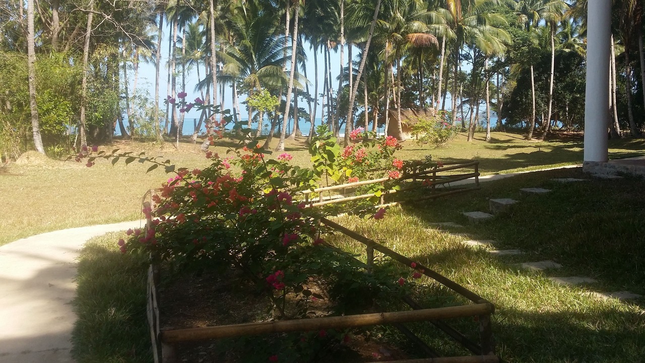 Photo of Others in Puerto Princesa
