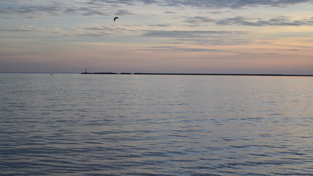 Photo of Others in Hyannis
