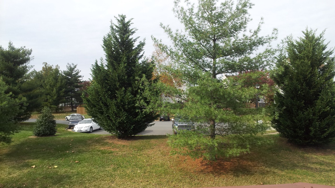 Photo of Others in Fairfax