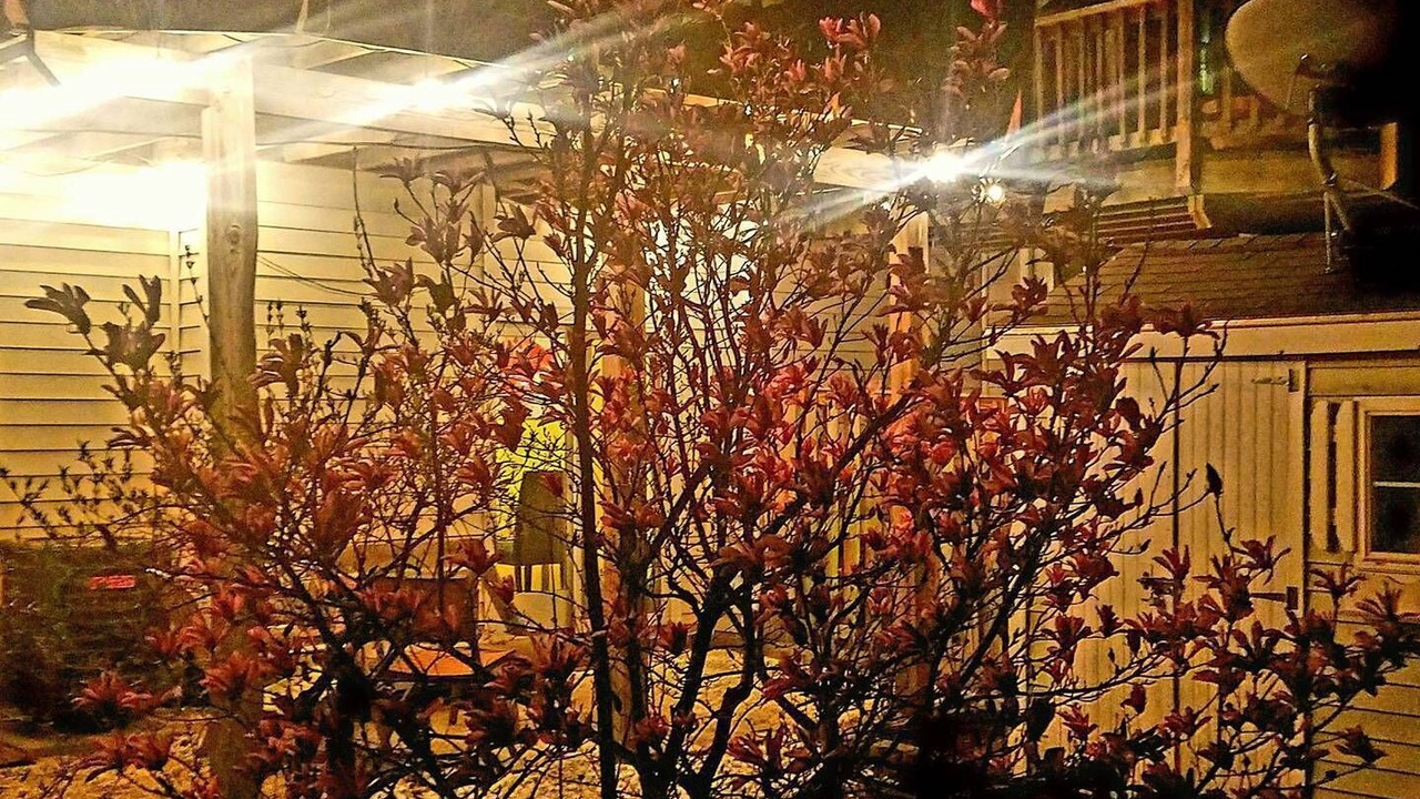 Photo of Outdoor in Fairfax