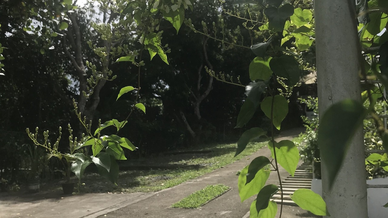 Photo of Others in Tagaytay