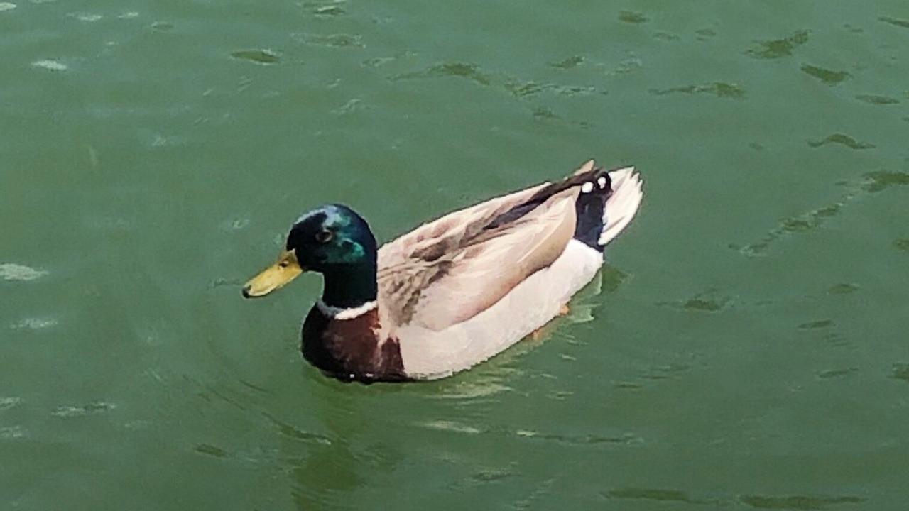Photo of Others in Moneta