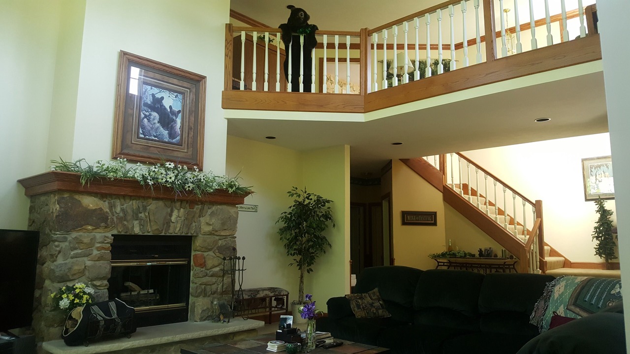Photo of Livingroom in Clymer