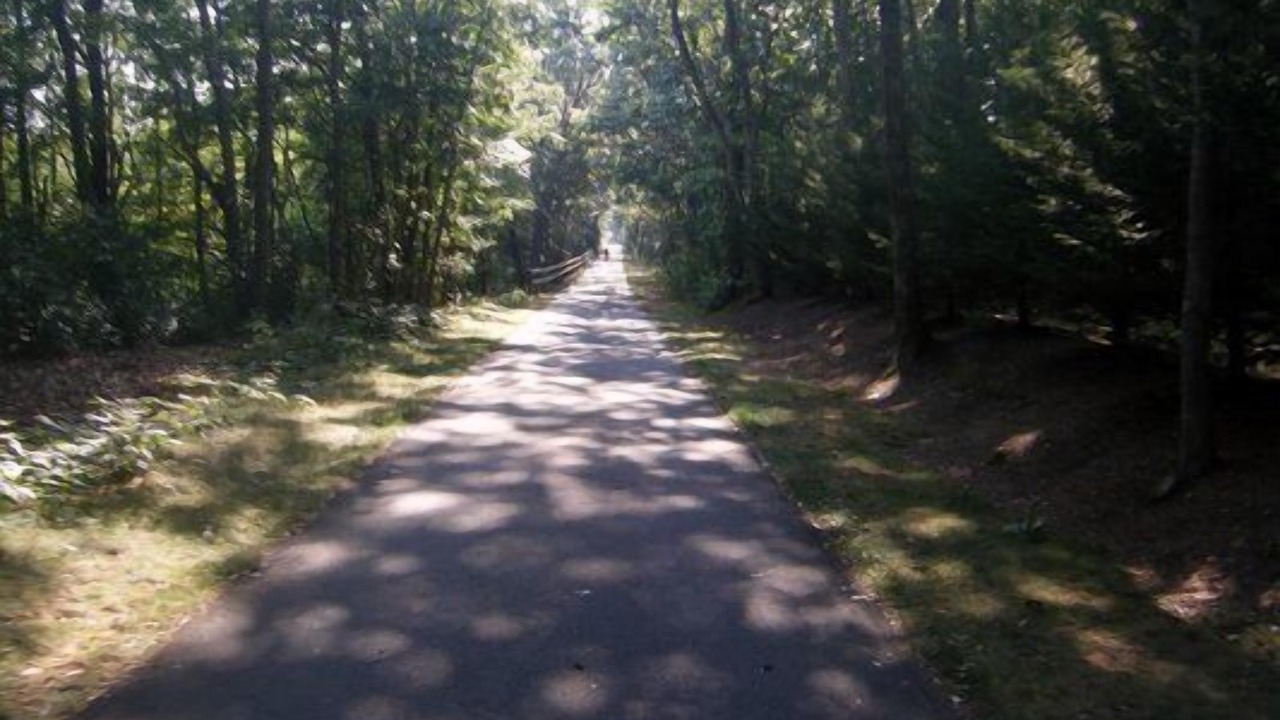 Photo of Others in Hyannis