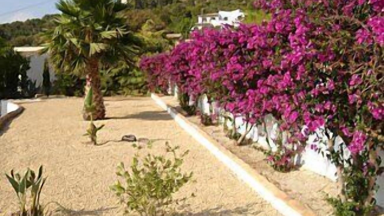 Photo of Outdoor in Empedrola