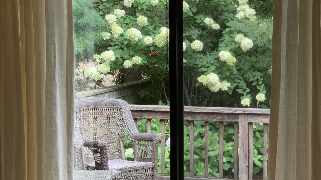 Photo of Others in East Hampton