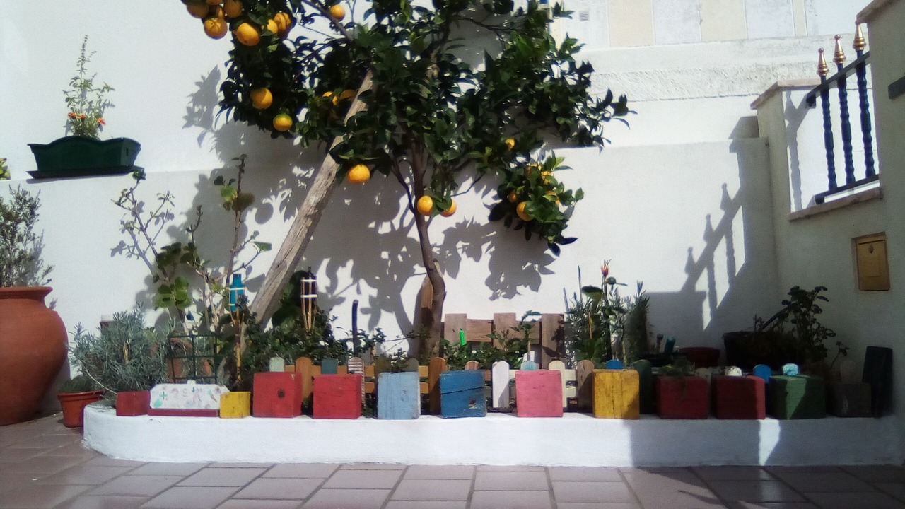 Photo of Outdoor in Torres Vedras