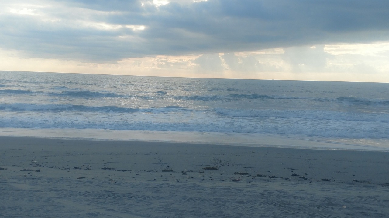 Photo of Others in Port Canaveral