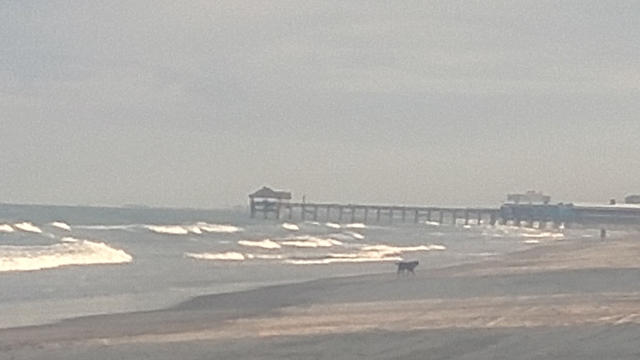 Photo of Others in Port Canaveral